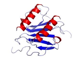 L-034-1998 L-034-1998