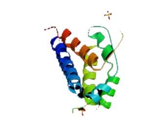 L-033-2002 L-033-2002