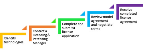 License Processing