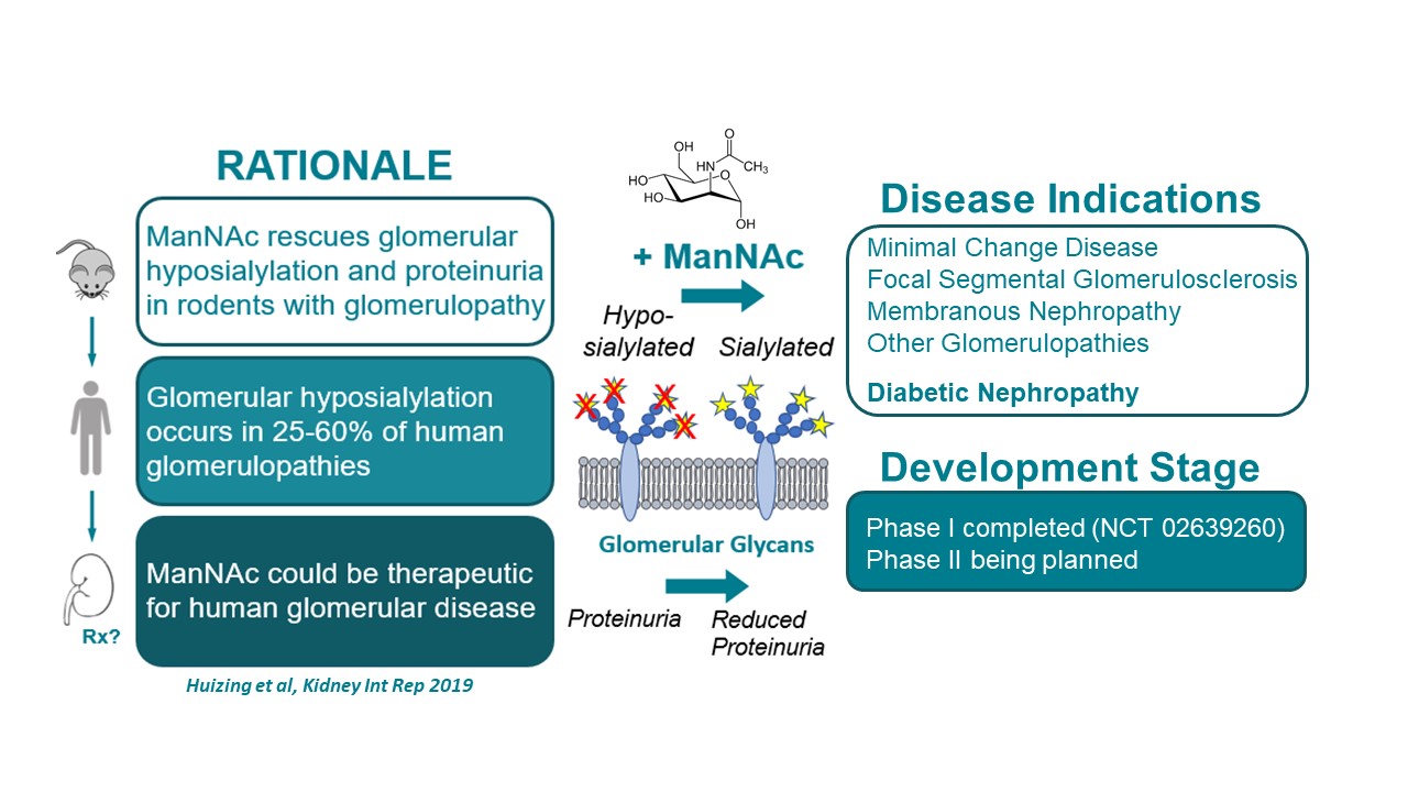 ManNAc rescues glomerular hyposialylation and proteinuria in rodents with glomerulopathy. Glomerular hyposialylation occurs in 25-60% of human glomerulopathies. ManNAc could be therapeutic for human glomerular disease. 