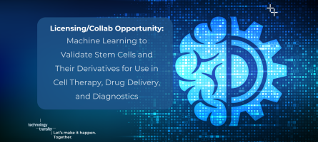 Licensing/Collab Opportunity: Machine Learning to validate stem cells and their derivatives for use in cell therapy, drug delivery, and disgnostics