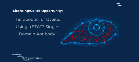 Licensing/Collaboration Opportunity for a Therapeutic for Uveitis Using a STAT3 Single Domain Antibody