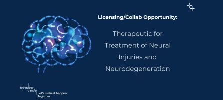 Licensing/Collab Opportunity: Therapeutic for Treatment of Neural Injuries and Neurodegeneration