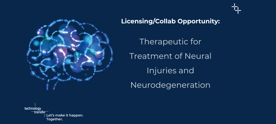 Licensing/Collab Opportunity: Therapeutic for Treatment of Neural Injuries and Neurodegeneration