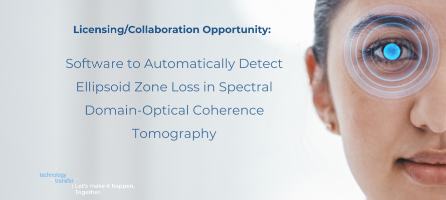 Licensing/collaboration opportunity: software to automatically detect Ellipsoid Zone Loss in SPectral Domain-Optical Coherence Tomography