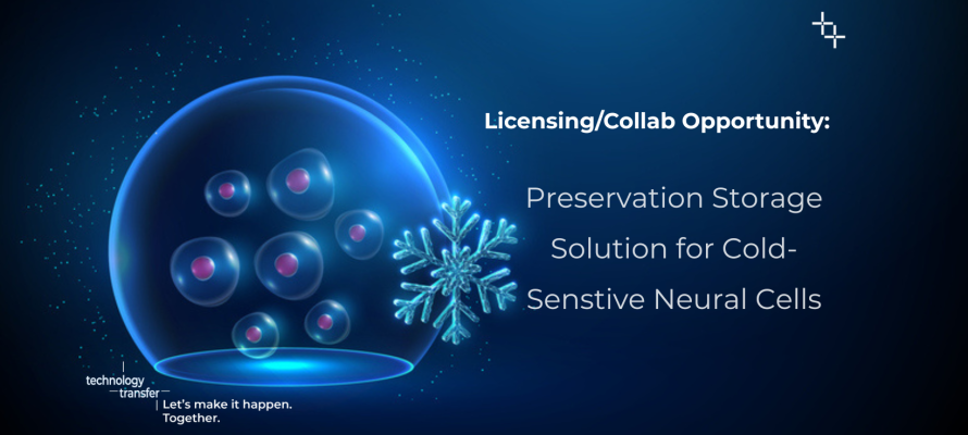 Licensing/collab opportunity: Preservation Storage Solution for Cold-Sensitive Neural Cells