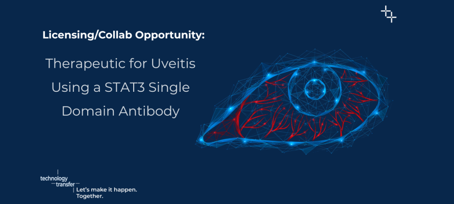 Licensing/Collaboration Opportunity for a Therapeutic for Uveitis Using a STAT3 Single Domain Antibody