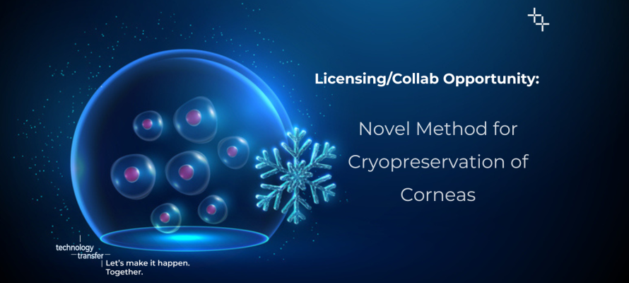Licensing/collab opportunity: novel method for cryopreservation of corneas.