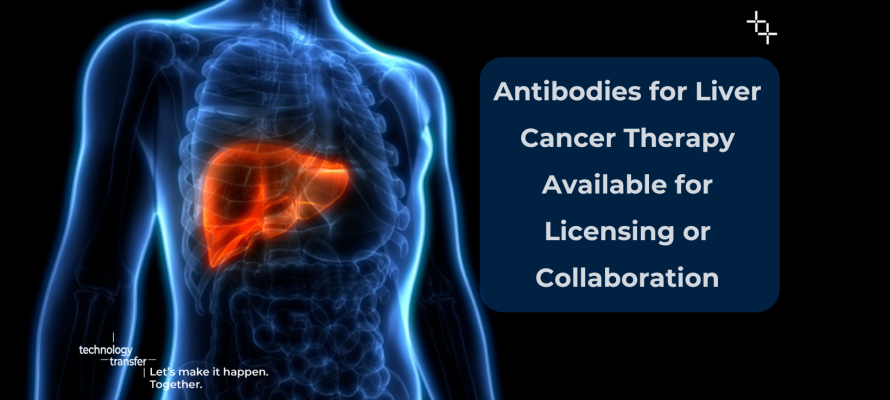 Antibodies for Liver Cancer Therapy Available for Licensing or Collaboration